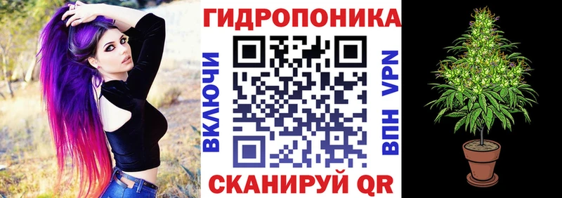 гидра как войти  Мураши  Бошки Шишки Amnesia 